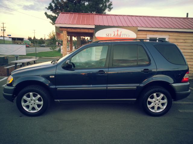 1999 Mercedes-Benz M-Class AWD Wagon Automatic VERY NICE