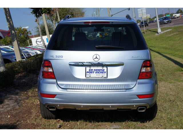 2009 Mercedes-Benz M-Class Mirada