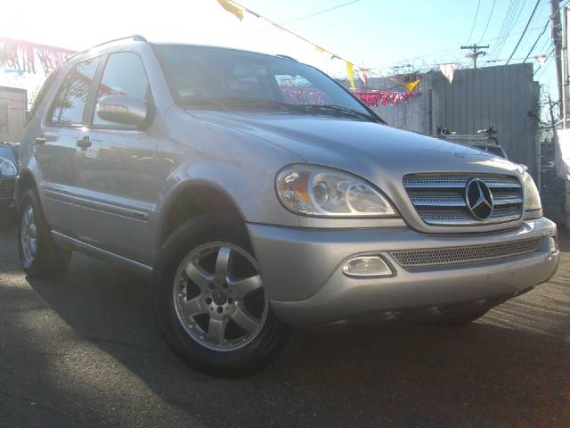 2004 Mercedes-Benz M Class 1500 4x4 LS