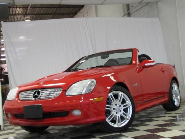 2004 Mercedes-Benz SLK Class Lovebug