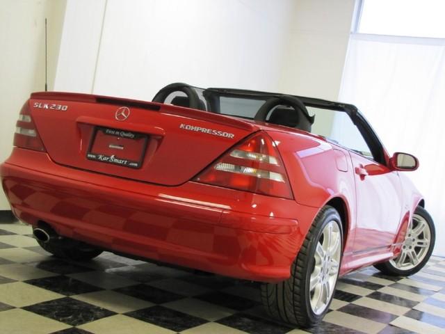 2004 Mercedes-Benz SLK Class Lovebug