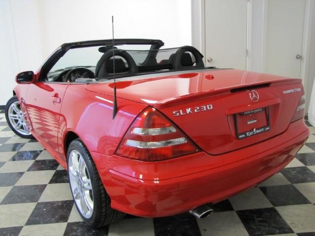 2004 Mercedes-Benz SLK Class Lovebug