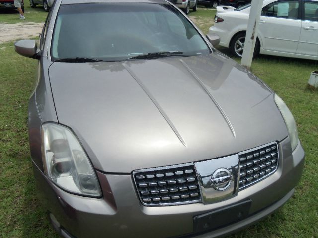 2006 Nissan Maxima SE