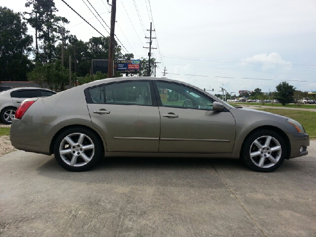 2006 Nissan Maxima SE