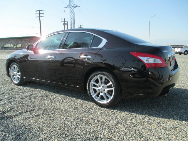 2010 Nissan Maxima XR