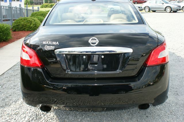 2010 Nissan Maxima 4.6L Eddie Bauer