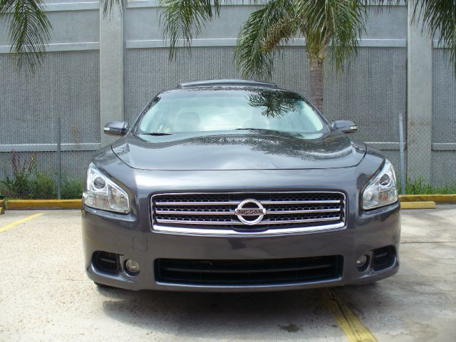 2010 Nissan Maxima 4.6L Eddie Bauer