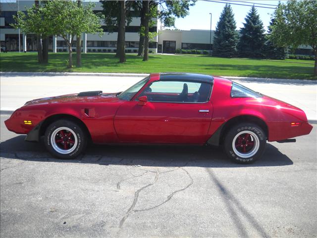 1981 Pontiac Firebird Unknown