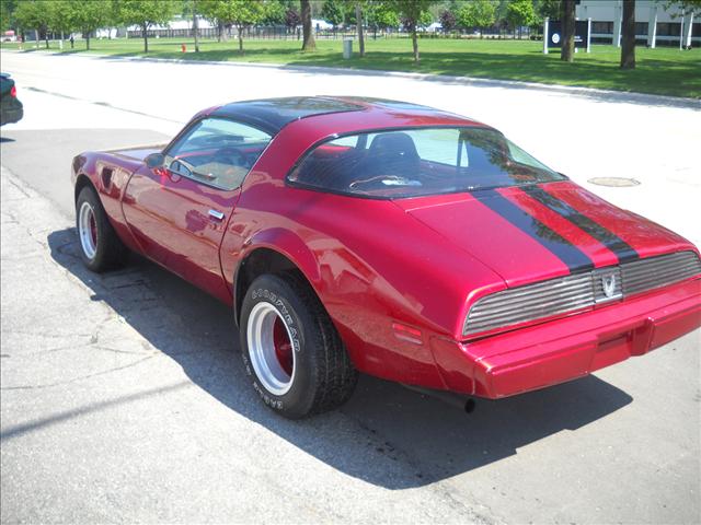 1981 Pontiac Firebird Unknown