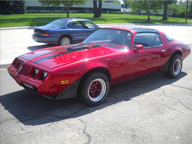 1981 Pontiac Firebird Unknown