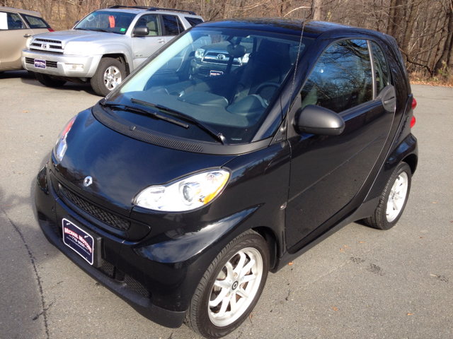 2009 Smart fortwo SXT 4x4