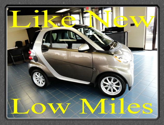 2009 Smart fortwo SXT 4x4