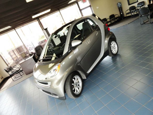 2009 Smart fortwo SXT 4x4